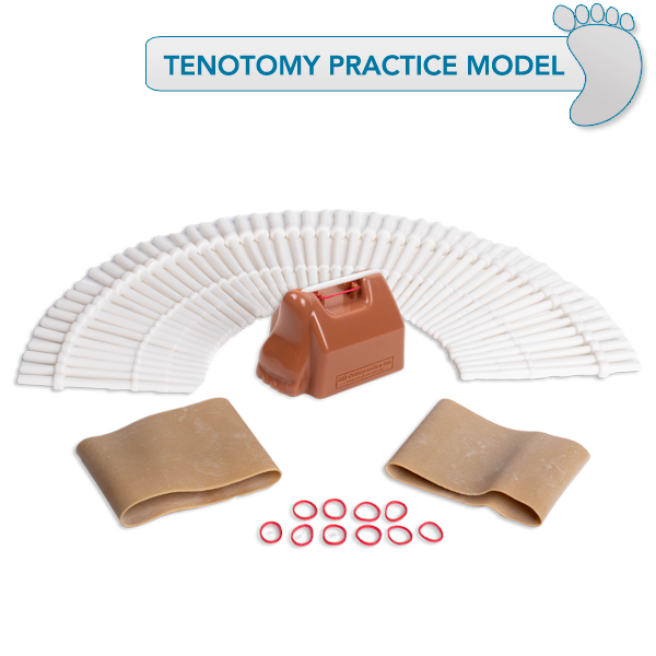 Tenotomy Practice Model Massons Healthcare